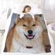 thumbnail image 5 of Shiba Inu anti-pilling, suave, ligera, esponjosa y acogedora de lujo para hogar y cocina – Perfecta para niños y adultos,150X130cm, 5 of 6