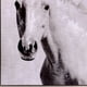 thumbnail image 2 of Cuadro Decorativo Pegasus 83x83, 2 of 4