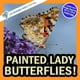 thumbnail image 1 of Libro Ilustrado Mi Mundo Increíble Mariposas Dama Pintadas, 1 of 1
