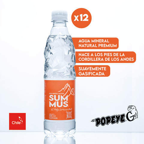 Pack 12 Agua Mineral Natural Summus Con Gas 500 Ml