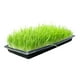 thumbnail image 2 of 10pcs Bandeja Germinación Hidroponía Forraje Sin Agujeros Set 10 U, 2 of 5