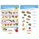 thumbnail image 3 of Juego de gráficos para tablones de anuncios Sportime MyPlate, grados 1 a 4, 8 unidades, 3 of 9