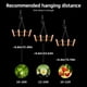 thumbnail image 5 of Luces de cultivo para plantas, tira de luz LED de 40 W para cultivo de plantas, 1 barra de espectro completo, lámparas colgantes para cultivo de plantas de interior, invernaderos, plántulas, vegetales, 5 of 6