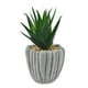 thumbnail image 4 of Planta Decorativa Artificial Aloe Piedra, 4 of 4