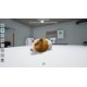 thumbnail image 3 of Videojuego Mindscape My Life Pet Vet para PS5, 3 of 9