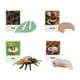thumbnail image 4 of Figuritas de , juguete, biología, ciencia, etapa de crecimiento educativo, modelo, figuritas de animales, juguetes para decoración de Abeja, 4 of 5