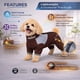 thumbnail image 2 of Suéter para perro Pet Life 'Tail Runner' ligero y ventilado, 2 of 9