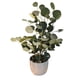 thumbnail image 1 of Planta Artificial 801, 1 of 1
