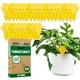 thumbnail image 1 of Trampa Super Ninja Gnat Traps Plant Fly 30 Unidades, 1 of 3