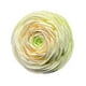 thumbnail image 1 of Clip De Ventilación De Flores Artificiales Adorno De Flores único Mini Clip De Ventilación De Coche De Flores Verde, 1 of 3