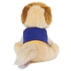 thumbnail image 4 of Chaqueta universitaria de peluche GUND Boo, el perro más lindo del mundo, 23 cm, 4 of 5