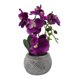 thumbnail image 1 of Planta Artificial Orquidea Pequeña Macetero De Cemento purpura, 1 of 5