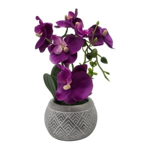Fliperex - Planta Artificial Orquidea Pequeña Macetero De Cemento Purpura