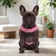 thumbnail image 4 of Arnés Petlounge Easy Glam Mascotas Perros Talla M rosa, 4 of 9