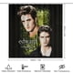 thumbnail image 2 of Crepúsculo-theme 4-Piece Shower Curtain Set with Rugs, Waterproof Bathroom Decor Set Includes Bath Mat, U-Shaped Rug, Toilet Lid Cover and Curtain with Hooks, 2 of 6