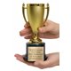 thumbnail image 4 of Trofeo Awards4U Copa Dorada de 19 cm con Placa Grabada, 4 of 9