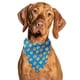 thumbnail image 1 of Bandana para perro Cutie Ties, material refrescante para desayunar, 1 of 3