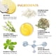 thumbnail image 5 of Kit de parches para debajo de los ojos Enaskin Naturals Retinol & Golden Gel, 5 of 9