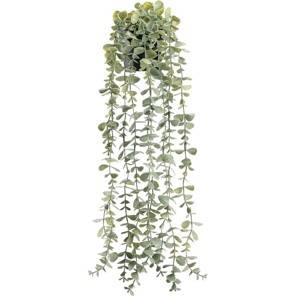 Planta Colgante Eucalipto Artificial Der Rose 61 cm