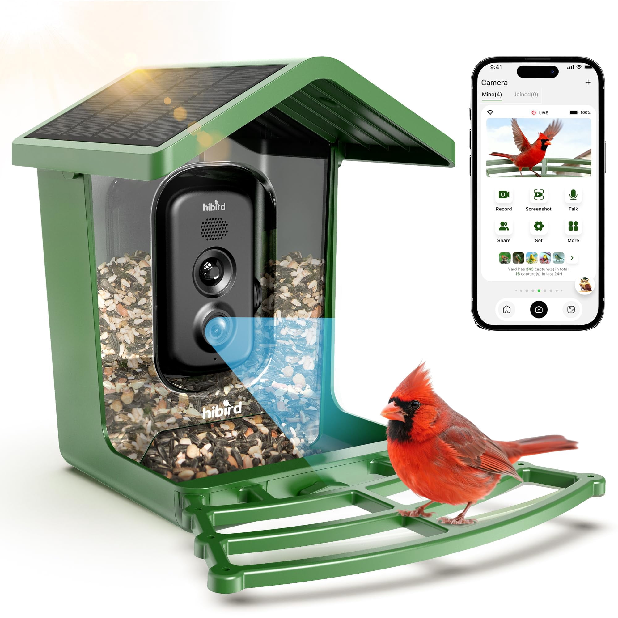 Comedero Para Aves Camojojo Hibird Con Cámara Ia Wifi Solar 4k