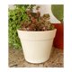 thumbnail image 3 of Set de 3 Maceteros Biodegradables Redondo Blanco, 3 of 3