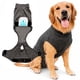 thumbnail image 1 of Traje de recuperación para perros iLVYA, talla grande, gris, con almohadillas lavables, 1 of 9