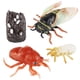 thumbnail image 3 of Juego De Ciclo De Crecimiento De Cigarra, Animal De Simulación Para Ni?os, Ni?os, Ni?as, 3 of 5