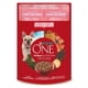 thumbnail image 1 of Alimento Húmedo Perro Adulto y Cachorro Superfoods Sabor Salmón Pouch, 85 g, 1 of 1