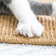 thumbnail image 4 of Rascador para Gatos Tipo Alfombra, 4 of 4