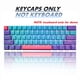 thumbnail image 2 of Teclas GTSP 61, 60 por ciento, Ducky One 2 miniteclas para teclado mecánico, perfil OEM, RGB PBT, juego de teclas con extractor de teclas para conmutadores Cherry MX SK 61/Joker (solo teclas), azul, 2 of 7
