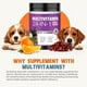 thumbnail image 4 of Vitaminas y suplementos para perros TTLXBL, 24 en 1, 200 unidades, masticables, 4 of 7
