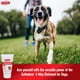 thumbnail image 2 of Pomada para el cuidado de heridas con sulfodeno para cortes de perro, 60 ml, 2 of 9