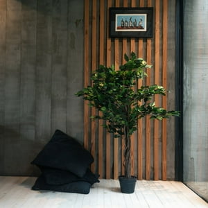 Vadell Home - Ficus Benjamina De 120 Cm