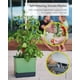 thumbnail image 2 of Plantadora vertical de tomates BUZZY Seeds con riego automático y enrejado, 2 of 9