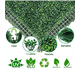 thumbnail image 3 of 10 Mallas Trébol Cerca Pasto Artificial Enredaderas Vallas, 3 of 3