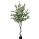 thumbnail image 1 of Árbol Olivo 240cm Artificial, 1 of 3