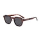 thumbnail image 4 of Lentes Sol Mujer Hombre Polarizado Original Springfield Café, 4 of 6