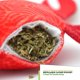 thumbnail image 3 of Juguete para gato KITTY KA-ZOOM Medusa y Cangrejo – Pack, 3 of 8