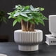 thumbnail image 3 of Maceteros Maceta De Ceramica Estilo Copon Blanco Mate S, 3 of 10