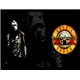 thumbnail image 1 of Cuadro Decorativo Guns N Roses Medidas 30x40 CM, 1 of 2