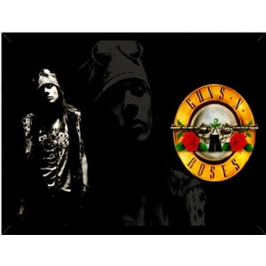 Genérico - Cuadro Decorativo Guns N Roses Medidas 30X40 Cm