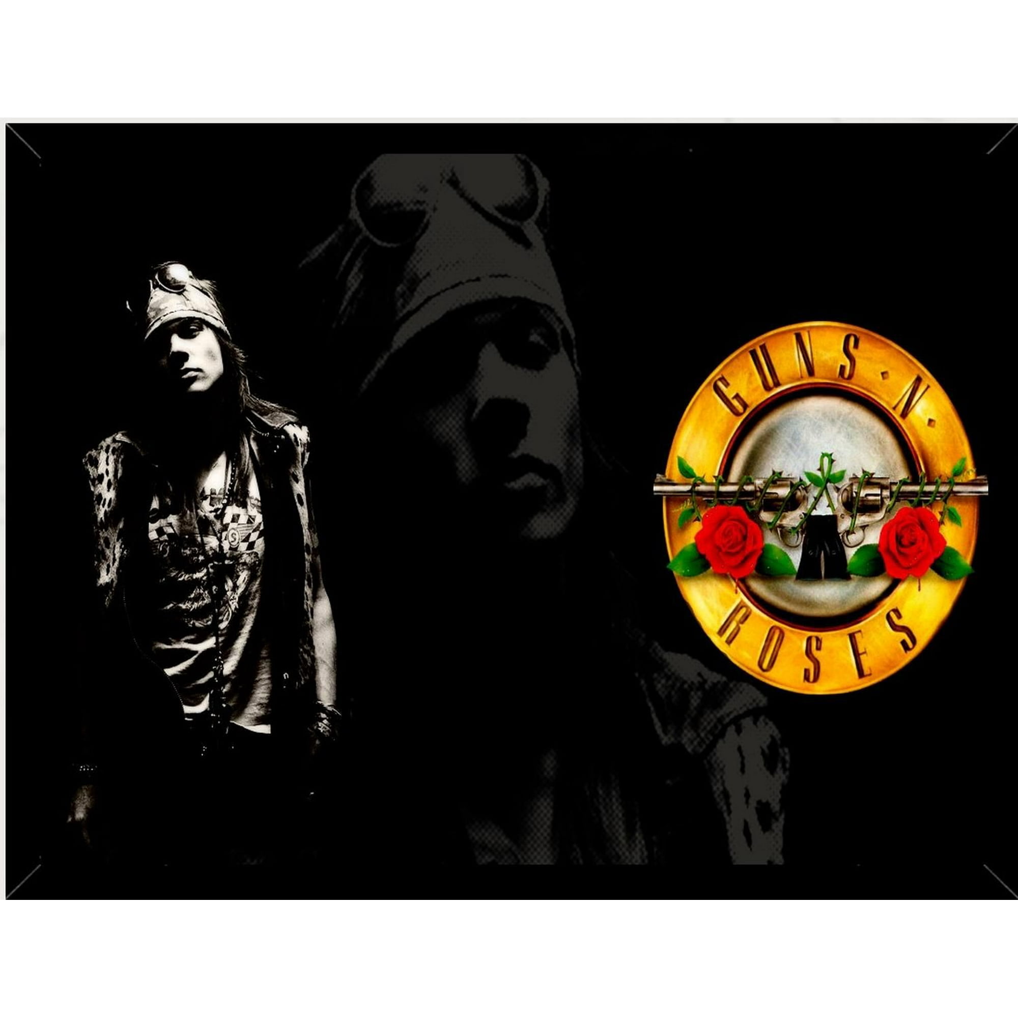 Genérico - Cuadro Decorativo Guns N Roses Medidas 30x40 Cm