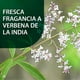 thumbnail image 3 of Limpiador de suelos Simple Green, multisuperficie, 3,78 L, pH neutro, 3 of 7