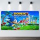 thumbnail image 2 of Sonic Fondo Temático Pancarta Suministros de Decoración para Fiesta de Cumpleaños, Decoración de Fondo de Fiesta Personalizado,150x90cm, 2 of 6