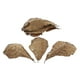thumbnail image 2 of 10 Uds. De Hojas Naturales De Betta Para Peceras, Acuarios, Mascotas, 2 of 3