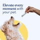 thumbnail image 5 of Probióticos Para Perros Polvo De Apoyo Digestivo E Inmunológico Con Prebiótico Fabricado En Ee Uu Sabor A Pollo (30 Barras), 5 of 9