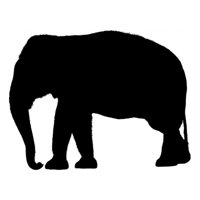 Rienda Libre Graphics - Decomural Elephant Safari Animals Ws-15812