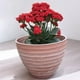 thumbnail image 2 of Macetero Redondo para terraza, 2 of 2