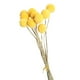 thumbnail image 2 of 10 Uds. De Flores Secas, Regalo, Decoración Bohemia Para Decoración De Oficina, Decoraciones De Otoño Para El Hogar, 1cm A 1,5 Cm, 2 of 2