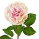 thumbnail image 2 of Rosa Rosada 65 Cms, 2 of 2